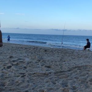 Meet your Posher, Mia